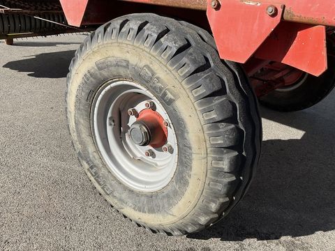 [3508-4067419-24.jpg]