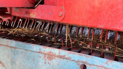 [3508-4204379-11.jpg]