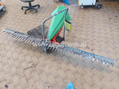 [3559-6299211-2.jpg]