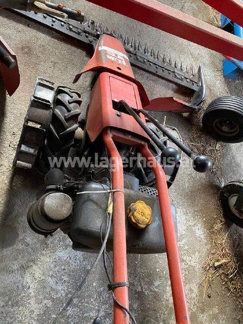 [3559-6299346-1.jpg]