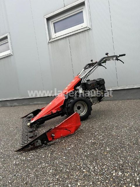 [3559-6299445-1.jpg]