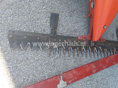 [3559-6299508-2.jpg]