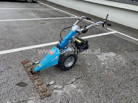 [3559-6299586-0.jpg]