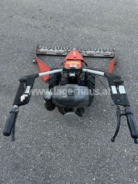 [3559-6299772-2.jpg]