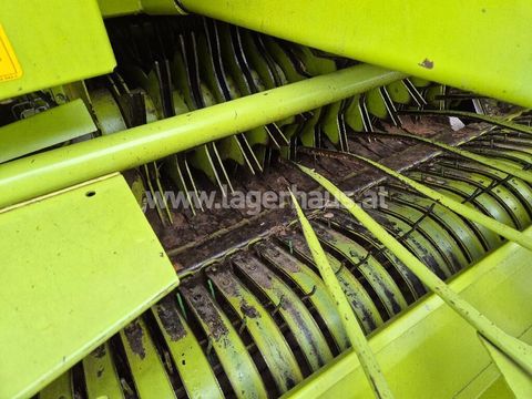 [3559-6299778-3.jpg]