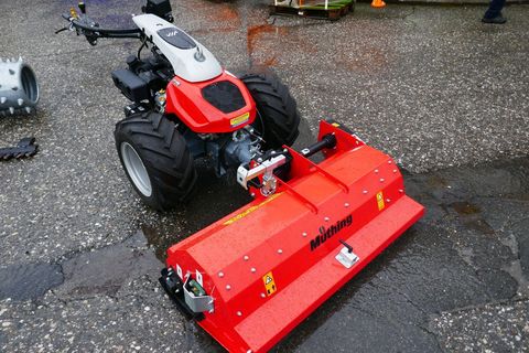 [3600-5308229-0.jpg]