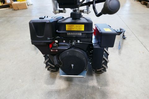 [3600-5534854-4.jpg]