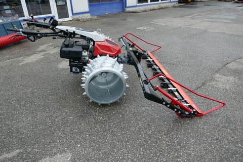 [3600-5651415-4.jpg]