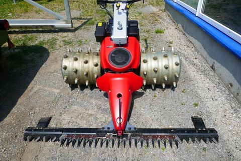 [3600-5661445-1.jpg]