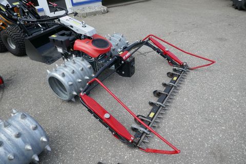 [3600-5667125-0.jpg]