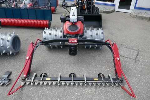 [3600-5667125-1.jpg]
