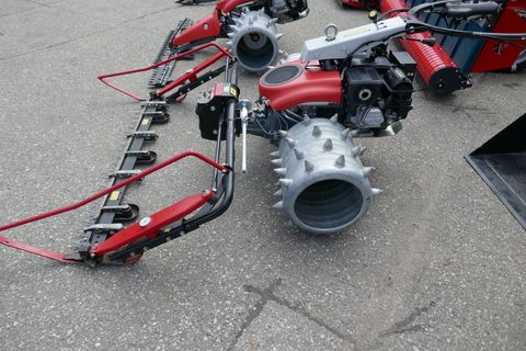 [3600-5667125-2.jpg]