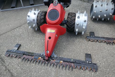 [3600-5704802-0.jpg]