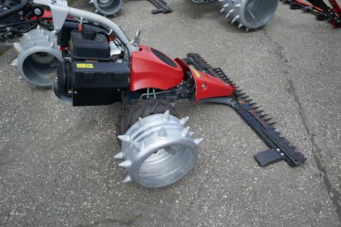 [3600-5704802-2.jpg]