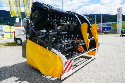 [3600-5876991-1.jpg]