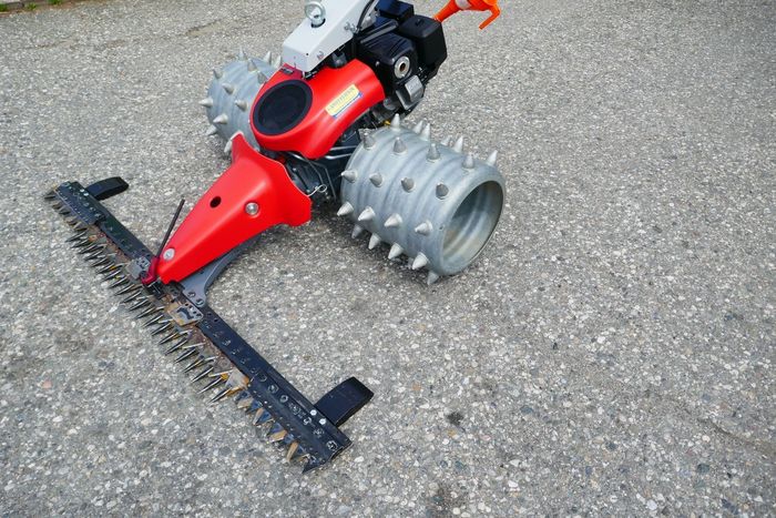 [3600-5965346-0_1.jpg]