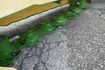 [3600-6091098-3.jpg]