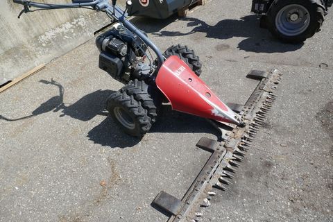 [3600-6181149-0.jpg]