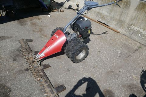 [3600-6181149-2.jpg]