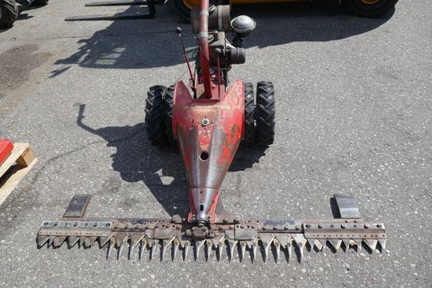 [3600-6210320-1.jpg]