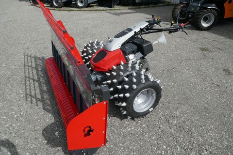 [3600-6250240-0.jpg]