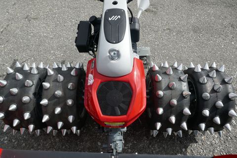 [3600-6250240-1.jpg]