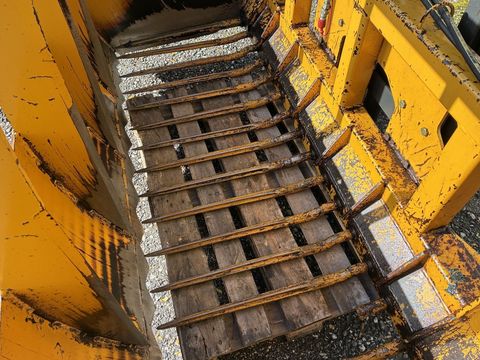 [3600-6403118-5.jpg]