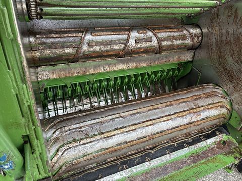 [3600-6426987-5.jpg]