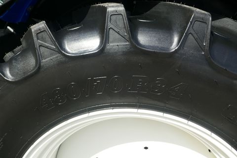 [3600-6448544-6.jpg]