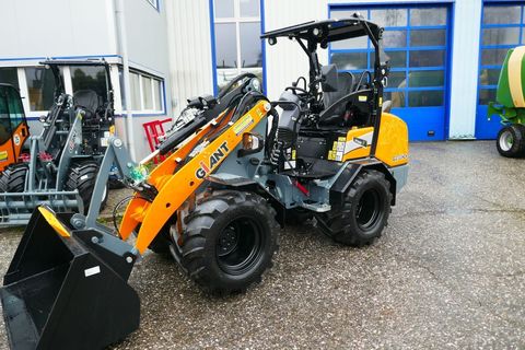 [3600-6461977-0.jpg]