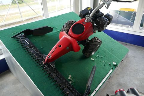 [3600-6484403-0.jpg]