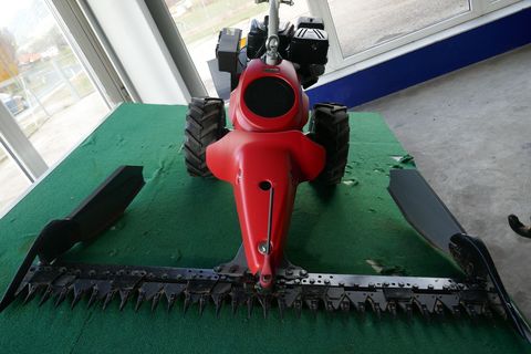 [3600-6484403-2.jpg]