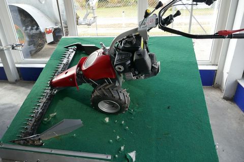 [3600-6484403-4.jpg]