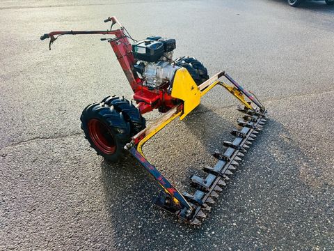 [3600-6535338-0.jpg]