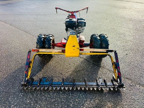 [3600-6535338-1.jpg]