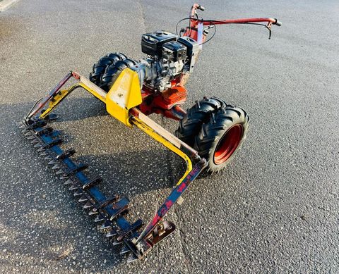 [3600-6535338-2.jpg]