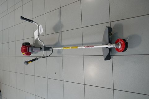 [3600-6745635-0.jpg]