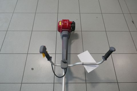 [3600-6745635-2.jpg]