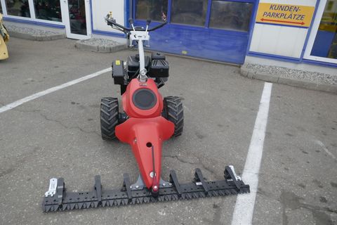 [3600-6827442-0.jpg]