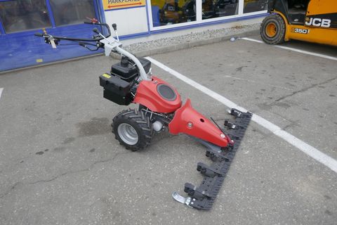 [3600-6827442-1.jpg]