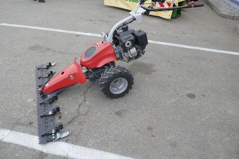 [3600-6827442-3.jpg]
