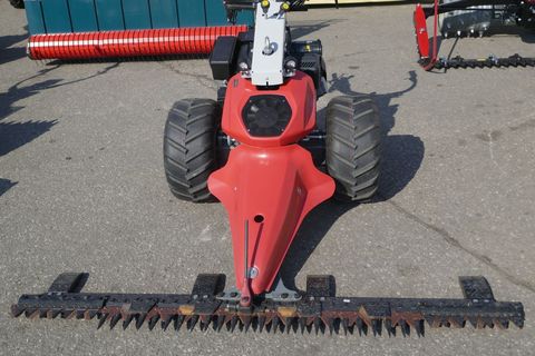 [3600-6828090-1.jpg]