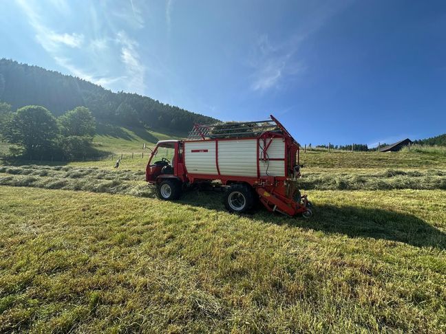 [3600-6835261-0_1.jpg]