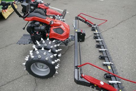 [3600-6835381-10.jpg]