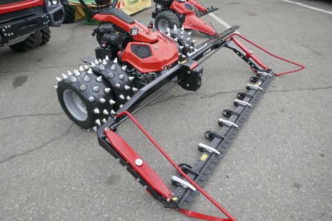 [3600-6835381-2.jpg]