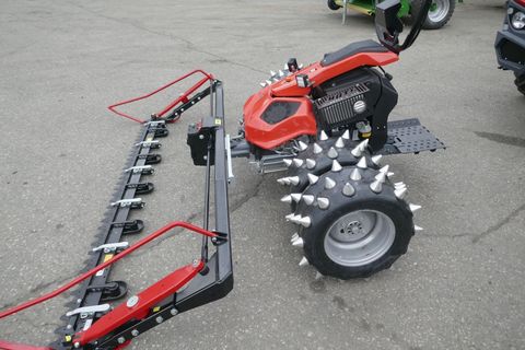 [3600-6835381-8.jpg]