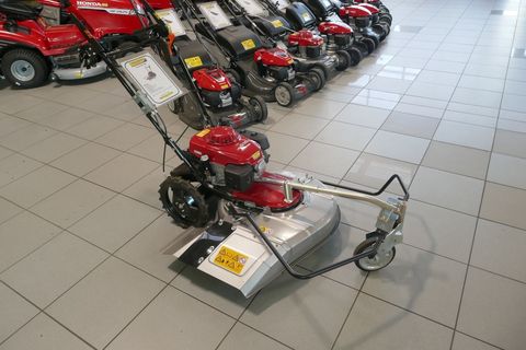 [3600-6888636-5.jpg]