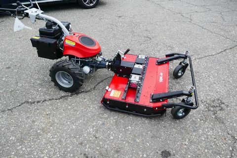 [3600-6960008-2.jpg]