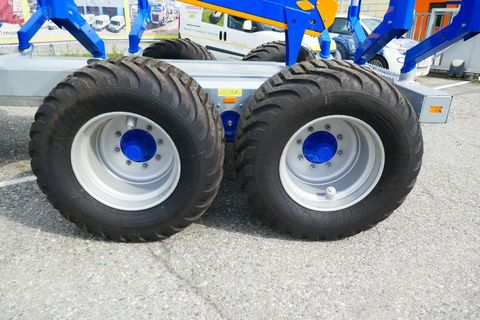 [3600-7047606-7.jpg]