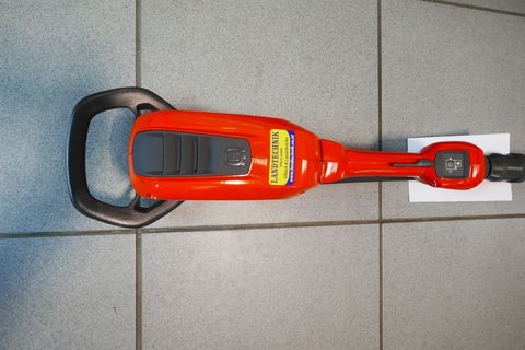 [3600-7067377-1.jpg]
